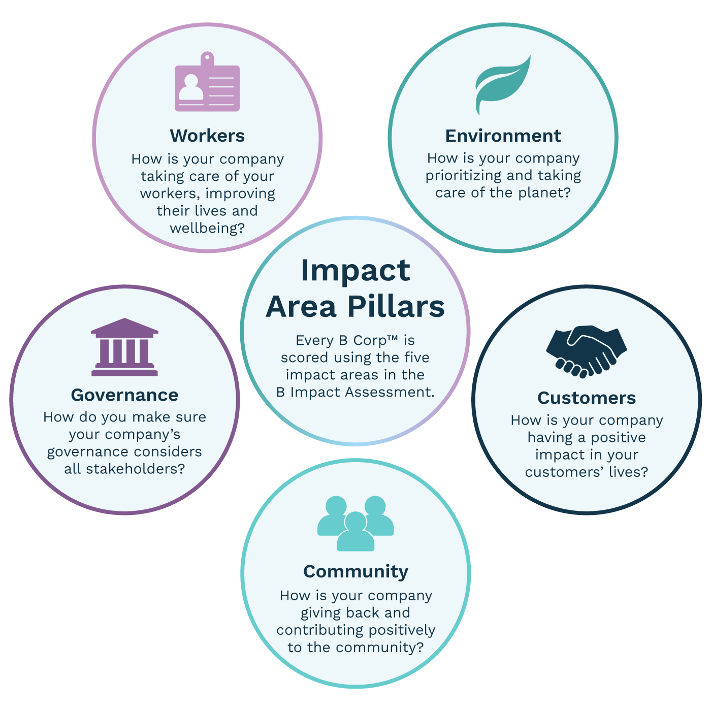 Diagram showing Wildanet's impact area pillars